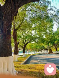 情緒很貴,要接近讓你愉快的人,
時間很貴,要和懂你的人去相處。配圖