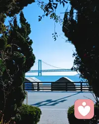 你同情谁，就会背负谁的命运。