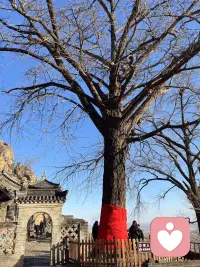 你的念头决定你的命运，从现在开始把所有负面的都换成积极的角度去看，失去就是得到，离开是为了更好的相遇，无数个因果的累积，才成就了你的当下和未来，越早认清，财和运就越早来。配图