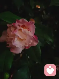 喜欢占小便宜的人 ，财富层次不高。配图