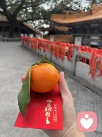 祖师爷精准投喂配图