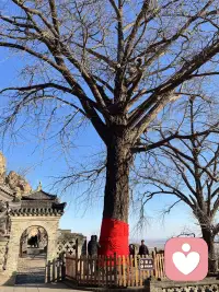 尽量减少和过去的磁场交集，那里已经没有你需要的了，你已经踏上了一段新的旅途，旧人旧事已经开始幻灭，就像花瓣已经掉进了土壤，岁月并非取之不尽，此刻也不会重来，当执念开始消失，平静的幸福会贯穿每分每秒，因果已经完成，意义则已体现，你会迈进新的人生课题，也会有一些新的事情在等着你，你将会走向新的方向，新的旅程……