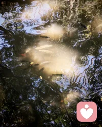 你千万不要等到一个向来很好说话的人开始跟你计较，因为在此之前，她所有的退让都是一种情分，而在此之后她所有的计较都是底线和警告。配图