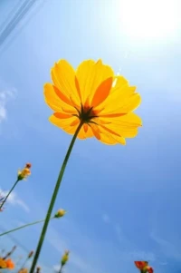 男人感到被人需要和依赖时，他们就会变得积极上进，力量无穷，有如神助；女人感到自己得到珍视和呵护时，她们就会格外自信乐观，生机勃勃。配图