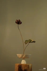 如果你是花，才會害怕春天離開你，
但如果你是春天，你永遠都會有花配圖