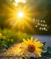 最珍贵的不是你现在有多好.而是经过努力.以后的每一天都越来越好.早上好吖????配图