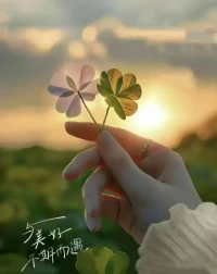 人生沒有最好的年齡，只有最好的心態，我們爭不過歲月，也跑不過時間，唯有以自己喜歡的的方式，過好每一個日出日落。配圖