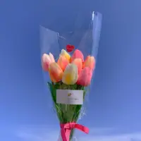 為了未來美一點，現在必須苦一點。低頭不算認輸，放棄才是懦夫。配圖