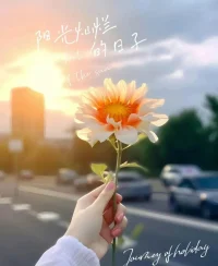 如果心理生病了
那就從人做回植物
飲食、睡眠、曬太陽、生長，什么都不想
再做回動物，接納自己的欲望
正視自己的需求、憤怒、競爭
再變成小孩，重新養育自己
建立對世界的好奇、熱情、勇氣
從植物、到動物、到小朋友
卸下面具，回歸真實、健康、生命力
無論年歲幾何，若心有缺憾，就重新養一遍配圖