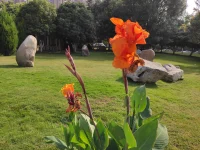 很喜欢的一段话:人生没有幸福不幸福，只有知足不知足，温饱无虑就是幸福，无病无灾就是福泽，至于其他，有则锦上添花，无则依旧风华。配图