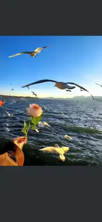 情緒是座迷宮，我愿做你的引路人。迷茫困惑時，來找我傾訴，我在等你。配圖