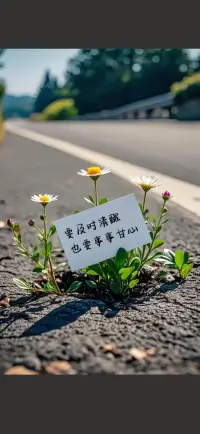 傾聽是心靈的橋梁，我愿做你專屬的擺渡人，陪你走過情緒的浪潮，歡迎來找我聊聊！配圖