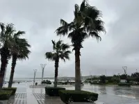 婆媳之間沒有血緣關系，卻因為婚姻成為了一家人。需要在相處中把握好親情的融合與彼此之間的距離感，既要有一定的親密程度，又要尊重彼此的個人空間。配圖