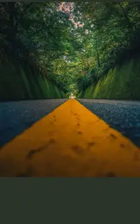 选错了就选错了，不要一遍一遍的后悔，别欺负当时的自己，当时你一个人站在雾里，也很迷茫！就算重新来过你也会选现在这条路，其实人生不管怎么选都会有遗憾，永远不要去美化你没选的那条路，你脚下的路就是最好的，终会有星辰大海花团锦簇！记住了眼睛长在前面，永远别向后看。