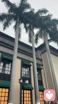 夜深了，一个严肃的问题：有没有人想跟我分享点八卦/吐槽/废话？配图