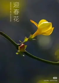 春已到，期待萬(wàn)象更新配圖