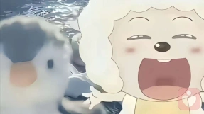 证书
