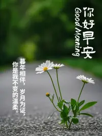 人生恰似一次航行，有時風平浪靜，有時波濤洶涌。但正是這些起伏的海浪，才讓我們學會珍視平靜，勇敢搏擊風浪。在困境中崛起，在風雨中堅韌，每一次啟航都是為了更遼闊的彼岸。只要心懷希望，勇往直前，終會抵達理想的港灣。配圖