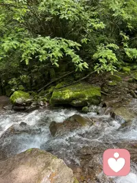 听着妈妈温柔的说话声，一时间竟然有些恍惚，这真是我的妈妈吗？那个说话一直像个法官的妈妈？也许润物细无声就是这样说的吧，这么多年的心理学习，让我浸润其中，懂得把自我和他人分开，减少了消耗，同时也滋养了他人配图