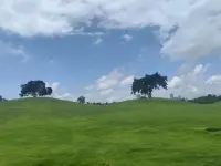 不要用力的走向任何人，
如果自己不夠強大，
就暫時把自己藏起來，
去努力改變自己，
一定要給自己一個重塑金身的機會。

我們不僅僅限于婚姻和愛情，
更要成長為一棵參天大樹。
在無人問津的地方歷練，
在萬眾矚目的地方出現。

認真做好當下每一件事，
獲得自由的方式是，
最終接受了沒有人愛。

必須戰勝恐懼，
擺脫依賴，
驅散失望，
為自己鑄就鎧甲，
豐滿自己的羽翼。配圖