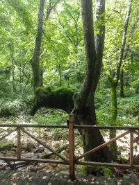 讓自己變得更好，是解決一切問題的關鍵。培養一項愛好，做自己真正熱愛的事情，你會感到很快樂。

——剽悍一只貓配圖