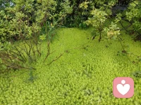 我們的眼淚里藏著答案，
但常常被頭腦的理性覆蓋。
 
當(dāng)我們開始連接身體的感受，真實(shí)的自我和需求才自然浮現(xiàn)。成長不是急著整合內(nèi)在的矛盾，而是先看見并接納那個(gè)弱小、被隱藏的部分。
 
接納，才是一切療愈的開始。
 
如果你或身邊的朋友也正被情緒困擾，需要一個(gè)安全的空間梳理內(nèi)心，隨時(shí)可以找我聊聊。配圖