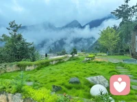 創(chuàng)傷本來就是在關(guān)系中形成的。因此，創(chuàng)傷的療愈，也必須在一個矯正性的關(guān)系中才能真正整合與轉(zhuǎn)化，產(chǎn)生新的體驗與經(jīng)驗。這就像一句話點醒夢中人：“新的體驗，只能在新的真實的關(guān)系里產(chǎn)生。
創(chuàng)傷的根源，往往是早期重要關(guān)系（與父母、撫養(yǎng)者）的情感虐待與斷裂。那時我們的神經(jīng)系統(tǒng)為了生存需要，被適應(yīng)性的需求扭曲：

· 表達需求 = 可能被拒絕 → 于是學(xué)會沉默

· 展現(xiàn)脆弱 = 可能被攻擊 → 于是穿上盔甲

· 感到憤怒 = 可能被懲罰 → 于是壓抑情緒

這些自動反應(yīng)，是我們賴以生存的肌肉記憶。光靠認知與思考，無法改變肌肉記憶。你必須通過新的、重復(fù)的體驗，去鍛煉出新的“神經(jīng)肌肉”。

而一段安全的、真實的關(guān)系，就是這個最好的神經(jīng)系統(tǒng)訓(xùn)練營。配圖