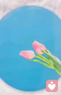 兩個受傷的靈魂，無法拼湊出完整的愛。愛本應是照亮彼此的光，最終卻變成互相消耗的折磨。
 
愿我們都能遇見那個澄澈明亮的“你”，像馬丁·布伯所說的“我與你”那樣——沒有預設，沒有索取。我只是純?nèi)坏卦谀莻€當下，以全部存在的“我”，與“你”相遇。配圖