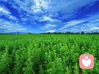 在情感里，“努力改變對(duì)方”常常是場(chǎng)徒勞的內(nèi)耗。比起執(zhí)著于修正他人，不如轉(zhuǎn)身向內(nèi)探索：明明清楚彼此不合適，為何始終無(wú)法抽身？真正要療愈的，從來(lái)都是那個(gè)“舍不得離開”的自己。
 
外在關(guān)系不過是內(nèi)在狀態(tài)的鏡子，當(dāng)你重新梳理好自己，身邊的人和相處模式自然會(huì)隨之改變。或許那時(shí)，你會(huì)遇見更契合的他，也未可知[旺柴]
 
若你正陷在關(guān)系困境里，歡迎來(lái)找我聊聊。配圖