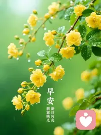 也許此刻的你正在迷茫的路上，
但請你做自己就好，
活在別人的眼光里，
就是對自己的不尊重，
每個人最終的歸宿都是自己。 

你越做自己，
就越有人欣賞你。配圖