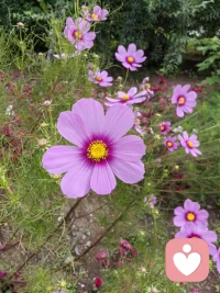 中年的任務，不是向外征服，
而是整合內心的光明與陰影。


——卡爾榮格配圖