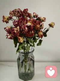 “我們都不是偉大的人，但我們可以用偉大的愛來做生活中每一件最平凡的事。”

“重要的不是我付出了多少，而是我在付出之中，放進了多少愛。”—— 特蕾莎配圖