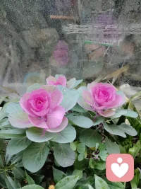 不必站在40岁的年纪，
悔恨30岁的生活，
也不必站在30岁的年纪，
悔恨17岁的爱情。
我们不能站在后来的高度，
去批判当年的自己，
这不公平。

如果重来一次的话，
以当时的心智和阅历，
还是会做出同样的选择。

学会和自己和解吧，
去接受每一个时期的自己。配图