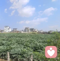 晨光熹微，万物静默如谜。
风穿过林梢，只带走一片落叶的叹息。
日子不慌不忙，我们来日方长。
在时间的褶皱里，藏着一整个宇宙的温柔。
心若静，喧嚣亦是远方。
把生活调成喜欢的频道，每一帧都是热爱。
与世界和解，从与一杯咖啡的独处开始。
光落在肩上，碎成轻盈的诗行。
简单，是另一种形式的丰盛。
听雨，看云，等风来，让灵魂跟得上脚步。
不必追赶浪潮，你自有你的方向与海。
留白处，不是空缺，是呼吸与想象的空间。
那些看似微不足道的日常，拼凑起生命最温暖的底色。
在纷繁中守护一方澄澈，于简约中抵达心灵的深远与宁静。
让每一个朴素的日子，都过成良辰。