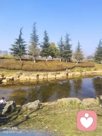 晨光熹微，万物静默如谜。
风穿过林梢，只带走一片落叶的叹息。
日子不慌不忙，我们来日方长。
在时间的褶皱里，藏着一整个宇宙的温柔。
心若静，喧嚣亦是远方。
把生活调成喜欢的频道，每一帧都是热爱。
与世界和解，从与一杯咖啡的独处开始。
光落在肩上，碎成轻盈的诗行。
简单，是另一种形式的丰盛。
听雨，看云，等风来，让灵魂跟得上脚步。
不必追赶浪潮，你自有你的方向与海。
留白处，不是空缺，是呼吸与想象的空间。
那些看似微不足道的日常，拼凑起生命最温暖的底色。
在纷繁中守护一方澄澈，于简约中抵达心灵的深远与宁静。
让每一个朴素的日子，都过成良辰。