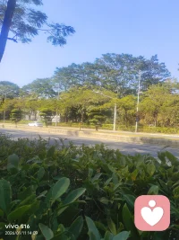 晨光熹微，万物静默如谜。
风穿过林梢，只带走一片落叶的叹息。
日子不慌不忙，我们来日方长。
在时间的褶皱里，藏着一整个宇宙的温柔。
心若静，喧嚣亦是远方。
把生活调成喜欢的频道，每一帧都是热爱。
与世界和解，从与一杯咖啡的独处开始。
光落在肩上，碎成轻盈的诗行。
简单，是另一种形式的丰盛。
听雨，看云，等风来，让灵魂跟得上脚步。
不必追赶浪潮，你自有你的方向与海。
留白处，不是空缺，是呼吸与想象的空间。
那些看似微不足道的日常，拼凑起生命最温暖的底色。
在纷繁中守护一方澄澈，于简约中抵达心灵的深远与宁静。
让每一个朴素的日子，都过成良辰。