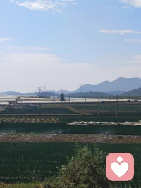 晨光熹微，万物静默如谜。
风穿过林梢，只带走一片落叶的叹息。
日子不慌不忙，我们来日方长。
在时间的褶皱里，藏着一整个宇宙的温柔。
心若静，喧嚣亦是远方。
把生活调成喜欢的频道，每一帧都是热爱。
与世界和解，从与一杯咖啡的独处开始。
光落在肩上，碎成轻盈的诗行。
简单，是另一种形式的丰盛。
听雨，看云，等风来，让灵魂跟得上脚步。
不必追赶浪潮，你自有你的方向与海。
留白处，不是空缺，是呼吸与想象的空间。
那些看似微不足道的日常，拼凑起生命最温暖的底色。
在纷繁中守护一方澄澈，于简约中抵达心灵的深远与宁静。
让每一个朴素的日子，都过成良辰。