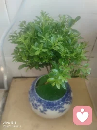 一个人成熟的标志，是学会狠心、学会独立、学会微笑、学会丢弃不值得的感情。”‌‌
“长大其实是一瞬间的事情，根本不用等到你十八岁成人，你只需要经历一件难忘的事，或者遇见一个让你放不下的人。”‌‌
“成熟就是，你不理我，我也不会多说；你讽刺我，我就一笑而过。”‌‌