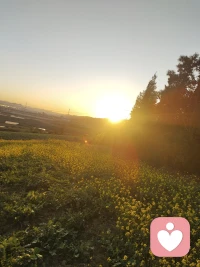 1、是我的哭笑不得 哭过 笑过 仍不得。
 2、我们一路上兴致勃勃地旅行参观，当夕阳西下时，才恋恋不舍地离开。 
 3、分开也不一定分手，伤心也不一定泪流。 
 4、曾经以为不爱了，感觉太淡了，血溶于水后看不见红色，其实该在的，一直都在的。 
  5、我不会因为幸福的离去而感到不幸福，至少我还有你。 