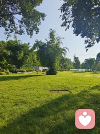 1、人生没有白读的书，你触碰过的那些文字，会慢慢帮你认识这个世界，悄悄帮你抹去脸上的肤浅与无知，塑造出更有修养和德行的样子！
2、与其违心赔笑，不如一人安静，与其在意别人的背弃和不善，不如经营自己的尊严和美好。
3、不到最后一刻，千万别放弃。最后得到好东西，不是幸运，有时候，必须有前面的苦心经营，才有后面的偶然相遇。——张小娴