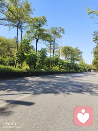 今天突然发现，成年人的情绪崩溃往往是静音模式。

早上赶地铁被人踩了新鞋，没吭声；开会方案被否决，笑着说“我再改改”；晚上回家发现外卖洒了一半，蹲在楼道里突然就红了眼。

其实我们都在等一个能看穿自己伪装的人，不用多问，递一杯热饮就好。

后来慢慢明白，比起被人拯救，学会自我拥抱更重要。现在我会在包里放一颗糖，难过的时候就吃一颗，告诉自己：生活有点苦，但我可以给自己加颗糖。