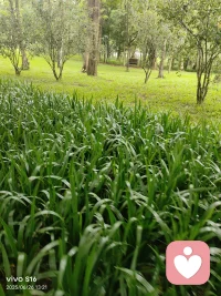 你比想象中更坚韧。
疗愈，从允许自己不完美开始。
内心的光，足以照亮前路。
情绪是暂时的访客，而非永久的主人。
每一次深呼吸，都是与自己的温柔和解。
伤口会结痂，也会开出新的花。
你无需立刻灿烂，允许自己慢慢来，慢慢好。
在接纳自己的那一刻，真正的力量开始生长。
今天的你，已经比昨天的你更懂得如何爱自己。
你不是被困住了，你只是在为下一次绽放积蓄养分。
心灵的愈合不是遗忘伤疤，而是学会与它共处，并赋予它新的意义。
给自己一个温暖的拥抱吧，感谢那个在风雨中依然前行的自己。
当你的内心足够丰盈，外界的喧嚣便无法轻易扰动你的安宁。
那些让你感到疲惫的，终将使你更加强大；那些让你流泪的，终将洗净你的双眼，让你看清生命中真正重要的东西。
真正的治愈，不是变得无坚不摧，而是理解了脆弱也是生命的一部分，并依然选择带着勇气和希望，温柔地向前走去。