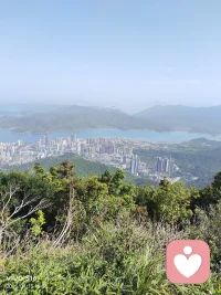 一、我知道我伸出手你肯定不会跟我走，于是我伸出腿把你绊了一跤，你果然站起来追着我跑。于是我不得不承认：自古深情留不住，总是套路得人心。
二、所谓的成长恰恰就是这么回事，就是人们同孤独抗争、受伤、失落、失去，却又要活下去。
三、各种冷嘲热讽可以假装听不见，其实大多数时候，我们没资格优雅的活着。所以，什么时候能厚着脸皮去生活了，你就真懂了生活。