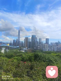 1．感觉要好！增加对事物的渴望和感觉。2．你拥有改变一切的力量！3．思想与爱的融合，形成了吸引力法则不可抗拒的力量4．爱是宇宙中最伟大的力量，爱的感觉是最高的频率，如果能爱所有的事物和人，你的生命必将转变！5．充满爱的思想---天下无敌！配图