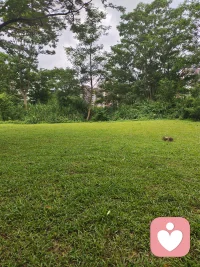 落叶与灰尘，都值得你献出思想；誓言与回忆，都值得你献出感伤。
人生无需后悔，逝去的事就像一阵风；人生不需要遗憾，该来的终究还是要来；
人不是为了世界而生存的,而是人所生存之地,才称之为世界。——
人生的路，没有崎岖，没有坎坷，没有困苦，没有艰难，就不是人生。日子，没有烦恼，没有痛苦，没有喜怒哀乐，没有幸福，就不是生活。
人生的一切，不是算来的，是感来的。不是求来的，而是修来的。求是只望因果，修是培植因缘。感是得道多助，算是一厢情愿。物质向下比就满足快乐。精神向上比就纯净升华。
古人云：供人以鱼，只解一餐;授人以渔，终身受用。
人生不是梦。若是梦，就怕梦醒了，人老了。人的不幸有千万种，而幸福的人只有一种：心境禅定，爱心无染的人。
一般的人，路只在脚下；聪明的人，路就在嘴边。
曾经，不遗憾。 如若美好，那叫精彩； 如若糟糕，那叫经历。
你的过去，是我的一片空白；我的现在，是你不能给的现在；我的未来，是你给不了的将来。
有雨，总会有风，有风，总会有云，但总会停下来，总会出现，那道彩虹。
只有你的吻才能代表玫瑰；只有你在身边我才会有笑脸。失去你天空只有灰色；要天空有彩色就得拥有你。
机会不留给蠢人和懒人，所有失望都是罪有应得，所有成功都是苦尽甘来。
我仅仅保存的温柔、被你践。踏得如此不堪。信任是相互的，日久见人心。
把你的幸福交给我，我要把它扔掉。把你的幸福交给我，我要把它抓住。配图