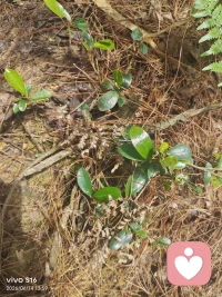 不是所有问题都需要答案，有时候，只是需要一个愿意听你说完的人。我在，你慢慢说。配图