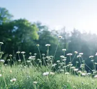 别因暂时的愁绪紧锁眉头，生活就像万花筒，换个角度，便能发现新的绚丽。乐观调色，多彩心情。配图