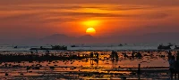 夕阳无限好