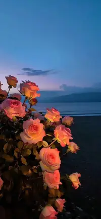 現在才知道陳慧嫻的《千千闕歌》的意思，來日縱使好多人陪我，都比不過你曾經陪我的那段時光，來日縱使你遇人何其多，再無人恰似我………配圖