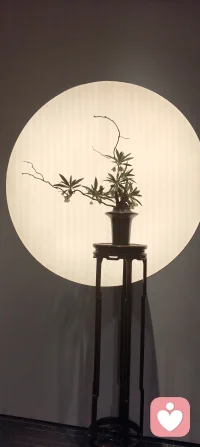 简单点，糊涂点，开心点，活成自己喜欢的样子，站在属于自己的高度，看自己该看的风景，别让任何人消耗你内心的清朗，年龄只是符号开心才最重要。心情留给懂你的人，感情留给爱你的人！配图